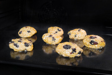 Seven uncooked homemade yellow oatmeal raisin cookies on metal sheet in oven. Gastronomy, dessert, cookery, baking, food concept
