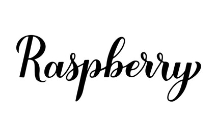 Fototapeta na wymiar Raspberry calligraphy hand lettering isolated on white. Fresh summer berry. Vector template for typography poster, banner, sticker, shirt, etc