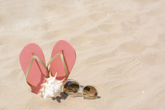 Stylish pink flip flops, sunglasses and seashell on sandy beach, space for text