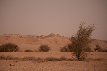 Edge of the World, Riyadh, Saudi Arabia