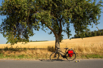 Fahrrad mit roten Taschen an gelbem Feld mit grünem Apfelbaum und Mütze voller Fall Äpfel auf...