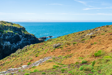 Skomer Island landscape, Wales, UK