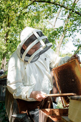 A beekeeper in a protective suit shakes the honey frame from bees with a brush. Pumping honey. Apiculture. Beekeeper