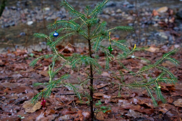 Mini Christmas Tree