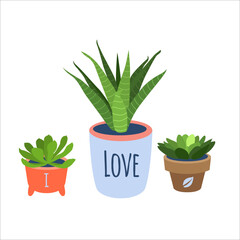 A set of succulents in colorful flower pots. Cute house plants, decorative succulents. Illustration for printing on T-shirt, merch and poster