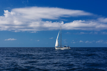 Naklejka premium luxury big white sailing yachts with white sails in the open Sea. Luxury boats. Adriatic, Croatia.