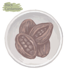 水彩風のスパイス。ブラック・カルダモン（ホール）。ベクターイラスト素材