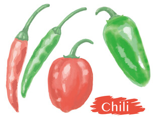 水彩風、チリペッパー。唐辛子。ベクターイラスト素材