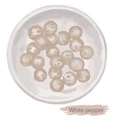 水彩風、ホワイトペッパー（ホール）。ベクターイラスト素材