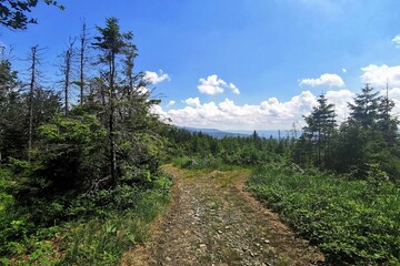 Fototapeta premium path in the mountains