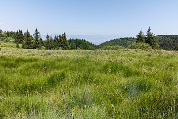 Obraz premium Vitosha Mountain near Kamen Del peak, Bulgaria