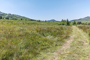 Vitosha Mountain near Kamen Del peak, Bulgaria