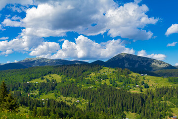 Polonina (pasture) in  Carpathian Mountains, Ukraine.