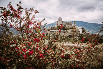 Sion, Switzerland: Medieval Valere Basilica and Berberis shrubs with read fruits.in the foreground