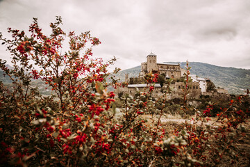 Sion, Switzerland: Medieval Valere Basilica and Berberis shrubs with read fruits.in the foreground