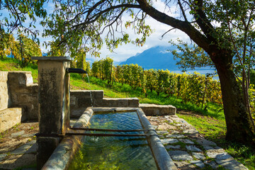 Lavaux, Switzerland: Fresh water source on hiking trail among Lavaux vineyard tarraces in Canton of Vaud