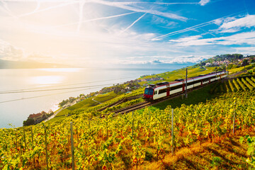 Lavaux, Switzerland: SBB train traveling on a railway through Lavaux vineyard terraces on the shore...