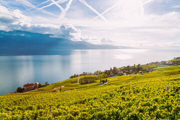 Lavaux, Switzerland: Lake Geneva and the Swiss Alps landscape seen from Lavaux vineyard tarraces in Canton of Vaud