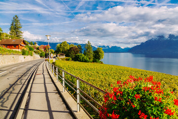 Lavaux, Switzerland: Motorway over the Lake Geneva among Lavaux vineyard tarraces in Canton of Vaud