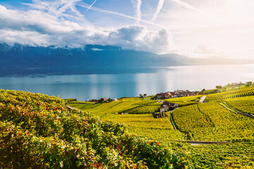 Lavaux, Switzerland: Little town, Lake Geneva and the Swiss Alps seen from Lavaux vineyard tarraces in Canton of Vaud