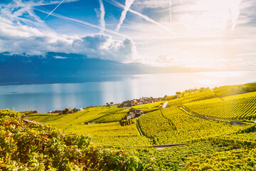 Lavaux, Switzerland: Little town, Lake Geneva and the Swiss Alps seen from Lavaux vineyard tarraces in Canton of Vaud