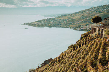 Lavaux, Switzerland: Lake Geneva landscape seen from Lavaux vineyard tarraces in Canton of Vaud