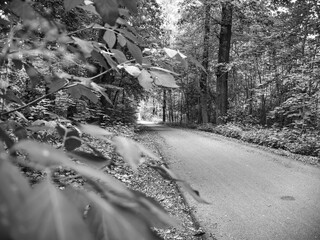 Elsterradweg von Gera nach Leipzig