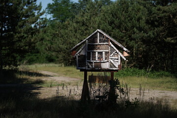 Insektenhotel in der Natur neben Tannenbaumwald