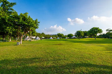 Camping tents on the park lawn