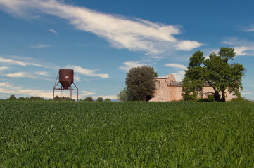 Fields, Provence, France