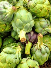 Fresh green organic rtichokes in stalll at open air Eugene Saturday Market