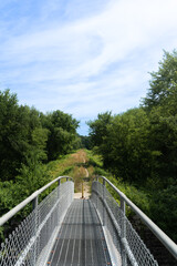 Metal bridge in front of a trail 