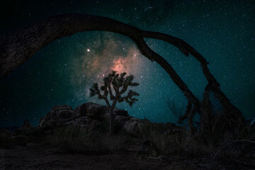 Starry Night