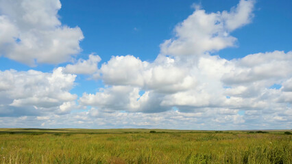 Fototapeta na wymiar Green field summer landscape, timelapse. Clouds and blue sky field