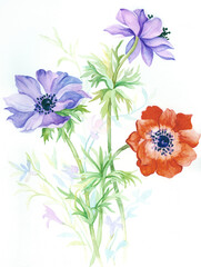 Flowers watercolor illustration.Manual composition.Big Set watercolor elements，Design for textile, wallpapers，Element for design,Greeting card