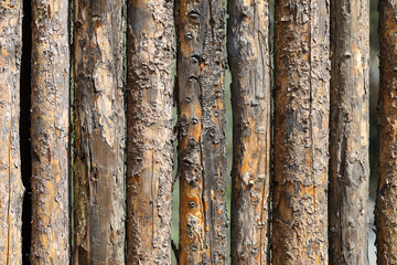 A log fence background. Fence made with natural resources.