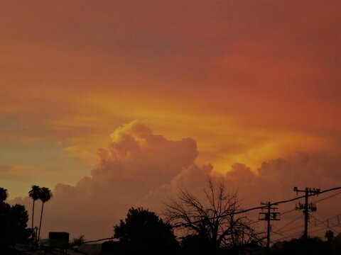 Sunset Casting Dark Pink, Orange, Yellow, Blue, And Green Afterglow. With The Silhouette Of Trees And Powerlines In An Urban Setting.