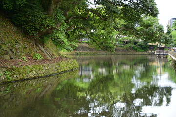 Fototapeta na wymiar 金沢城公園のお堀と石垣