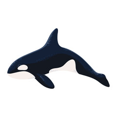 orca whale icon