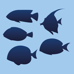 set of fishes sea life