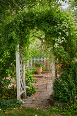 Green leafy arch leading to a private garden in a backyard on a sunny day. Beautiful growing plants in harmony in a vibrant, tranquil courtyard. Beauty in nature around the perfect spot for a picnic