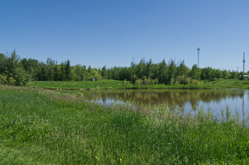 Pylypow Wetlands on a Summer Day