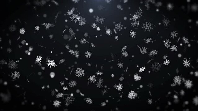 Natural organic white snowflake particles floating, swirling in black background with gray tone flare 4K loop motion background.