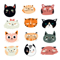 Funny cats muzzles, kitty and kitten feline animal