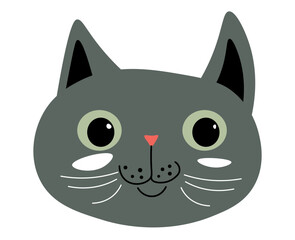 Cute kitty portrait, cat muzzle with whiskers