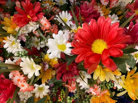 Artificial Gerber Daisies For Real Background