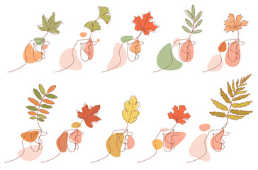 palm of hand holding autumn leaf:maple leaf,ash leaf,oak leaf,etc. continuous line drawing style vector illustration