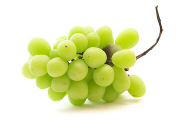 マスカット　白バック