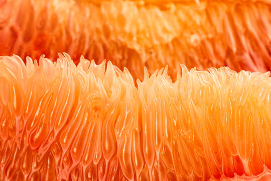 Close-up of Fresh juicy grapefruit pulp. Citrus fruit texture background
