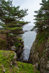 Fototapeta na wymiar Blurred focus. Seascape. Cape Pine.